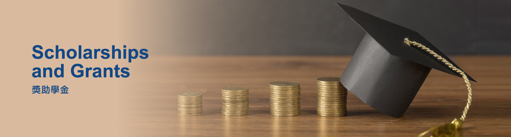 Link to scholarships and Grants(另開新視窗)